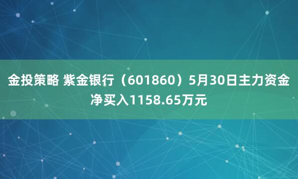 金投策略 紫金银行（601860）5月30日主力资金净买入1158.65万元