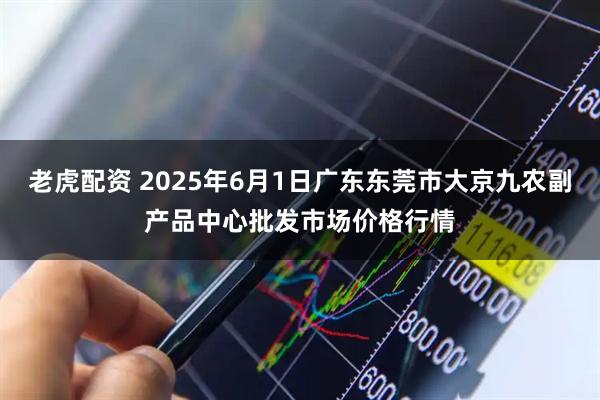 老虎配资 2025年6月1日广东东莞市大京九农副产品中心批发市场价格行情