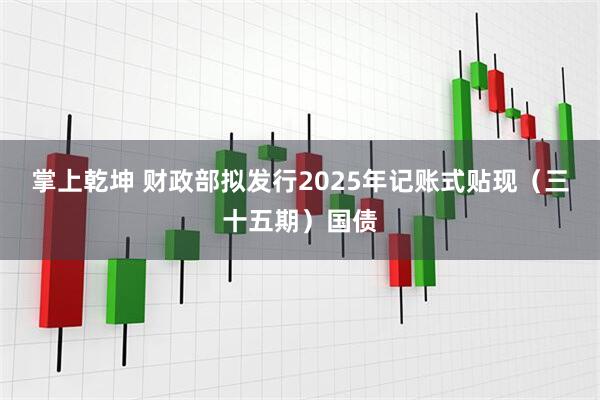 掌上乾坤 财政部拟发行2025年记账式贴现（三十五期）国债
