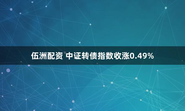 伍洲配资 中证转债指数收涨0.49%