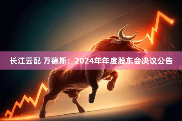 长江云配 万德斯：2024年年度股东会决议公告