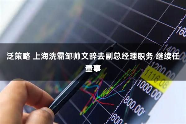 泛策略 上海洗霸邹帅文辞去副总经理职务 继续任董事