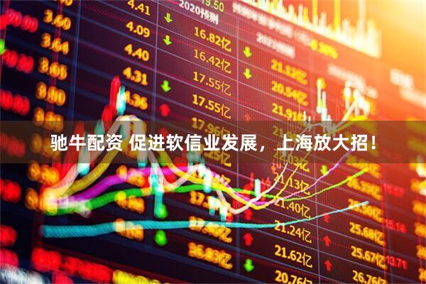驰牛配资 促进软信业发展，上海放大招！