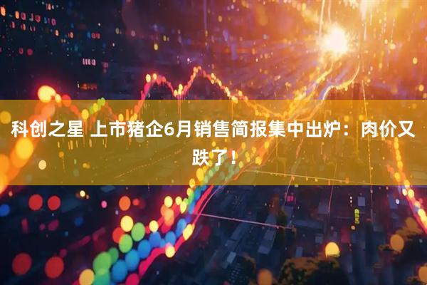 科创之星 上市猪企6月销售简报集中出炉：肉价又跌了！