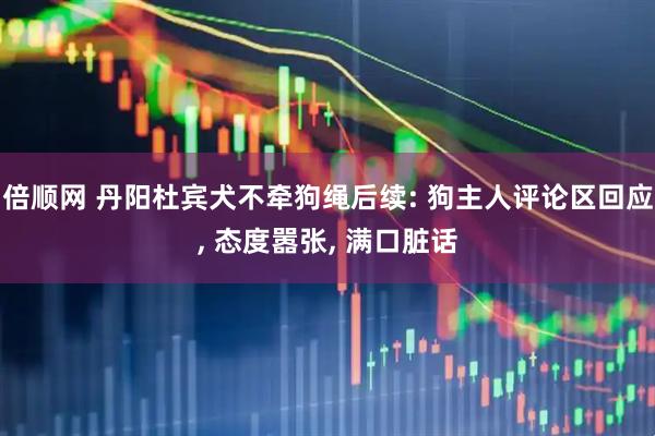 倍顺网 丹阳杜宾犬不牵狗绳后续: 狗主人评论区回应, 态度嚣张, 满口脏话