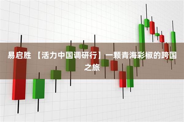 易启胜 【活力中国调研行】一颗青海彩椒的跨国之旅