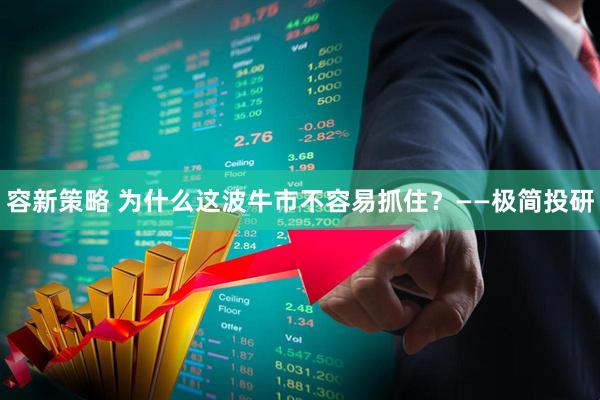容新策略 为什么这波牛市不容易抓住？——极简投研