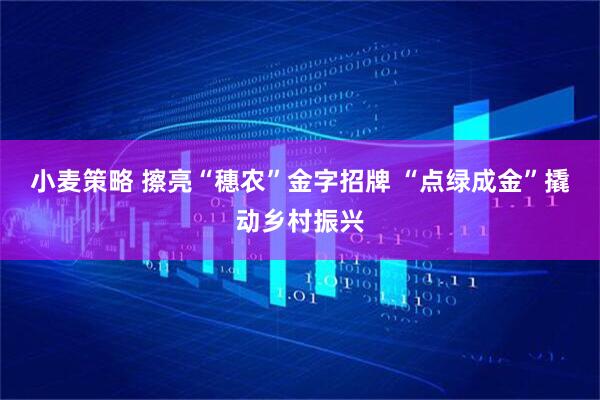 小麦策略 擦亮“穗农”金字招牌 “点绿成金”撬动乡村振兴