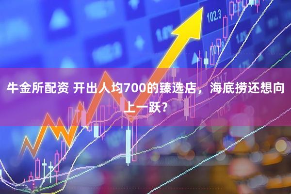 牛金所配资 开出人均700的臻选店，海底捞还想向上一跃？