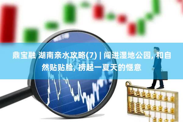 鼎宝融 湖南亲水攻略(7) | 闯进湿地公园, 和自然贴贴脸, 捞起一夏天的惬意