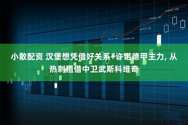 小散配资 汉堡想凭借好关系+许诺德甲主力, 从热刺租借中卫武斯科维奇
