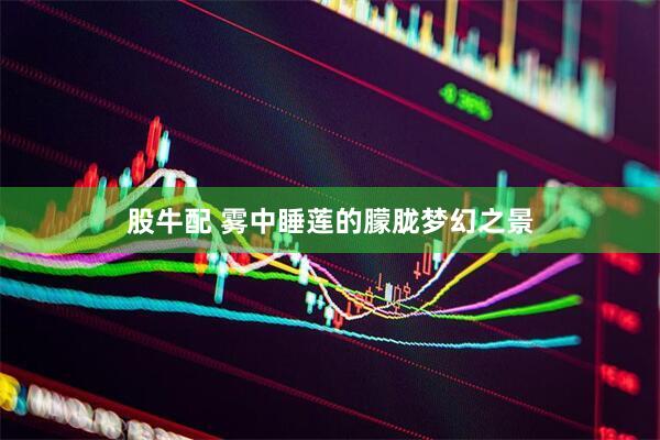 股牛配 雾中睡莲的朦胧梦幻之景