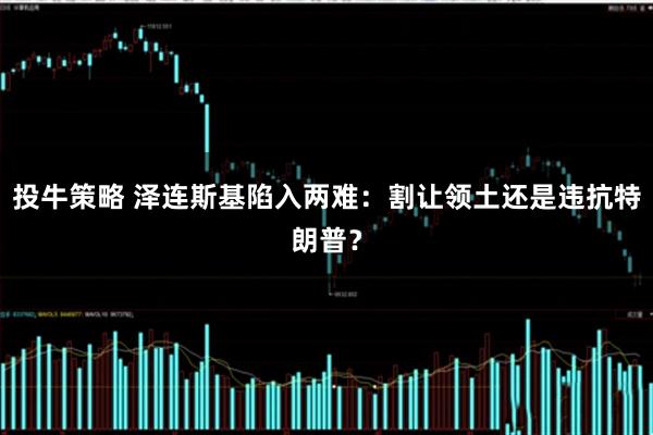 投牛策略 泽连斯基陷入两难：割让领土还是违抗特朗普？