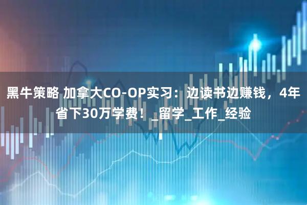 黑牛策略 加拿大CO-OP实习：边读书边赚钱，4年省下30万学费！_留学_工作_经验