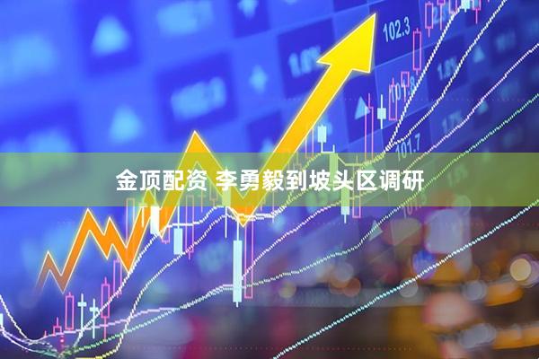 金顶配资 李勇毅到坡头区调研