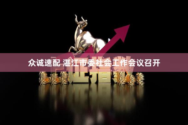 众诚速配 湛江市委社会工作会议召开